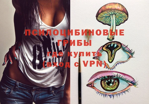 ПСИЛОЦИБИНОВЫЕ ГРИБЫ Магадан