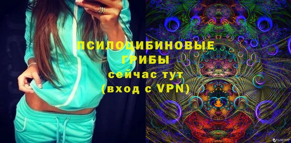 бошки Елабуга