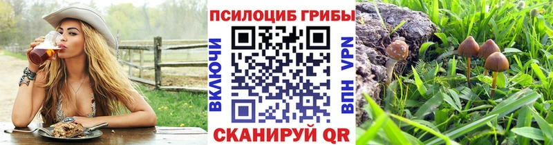 хочу Мыски Галлюциногенные грибы мухоморы