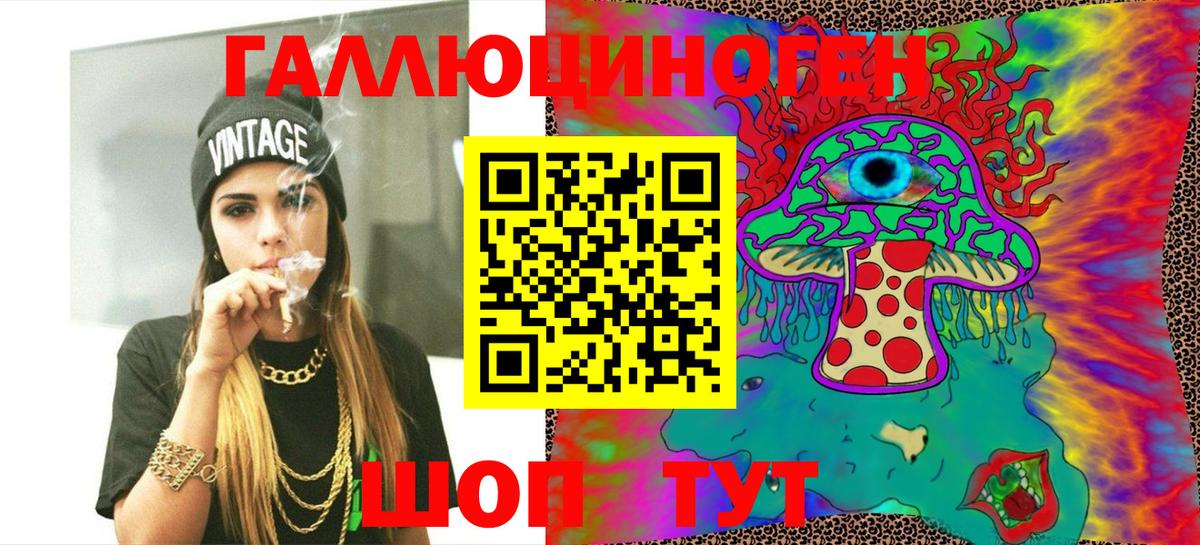 Галлюциногенные грибы Psilocybe Мыски