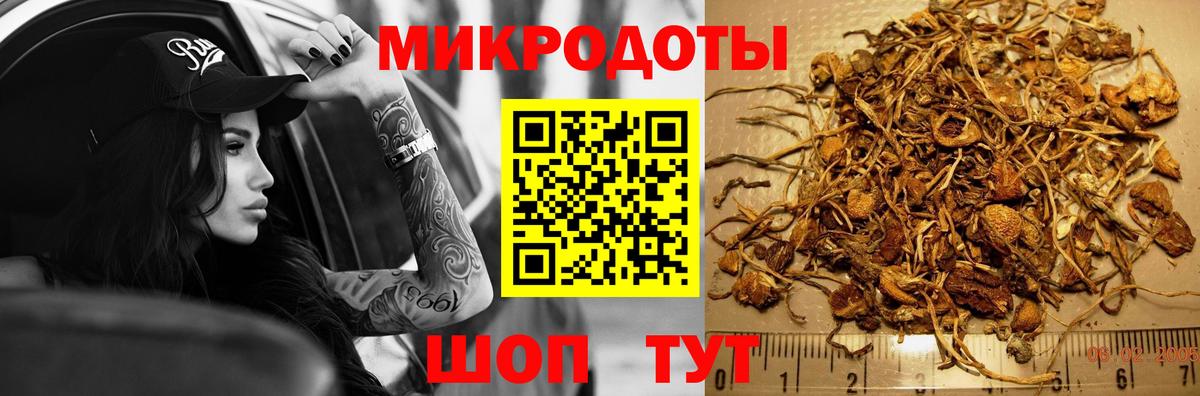 Мыски  Псилоцибиновые грибы MAGIC MUSHROOMS  Вход с VPN 
