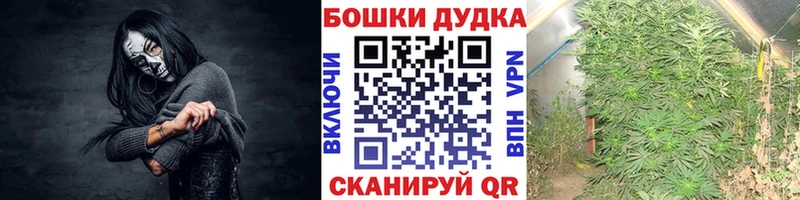 Конопля конопля  Мыски 